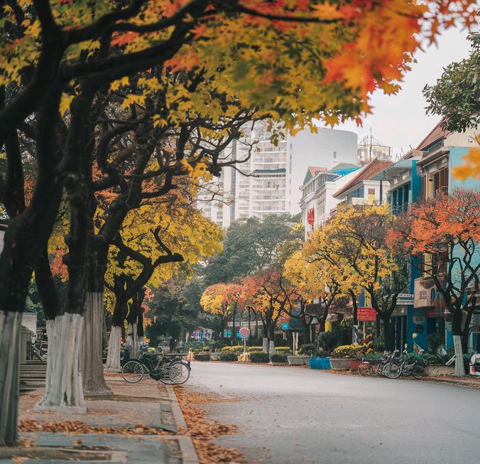 beautiful fall in vietnamese city